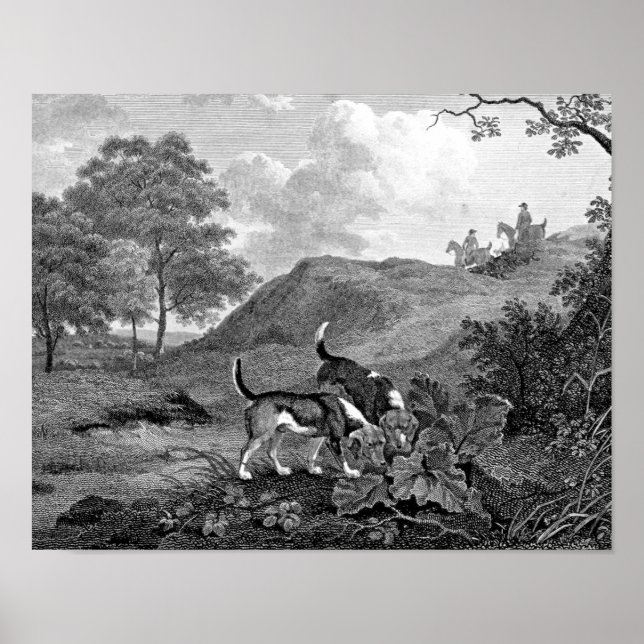 Pôster Beagles Black and White Vintage Art (Frente)