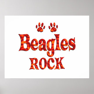 Pôster Beagles Rock