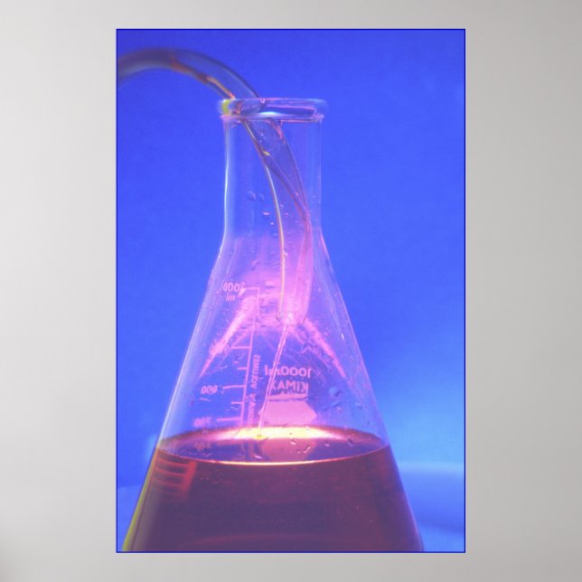 Poster Beaker (Frente)