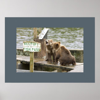 Pôster Bear Cubs Guarda Memórias Amor Destino