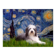 Beardie 2 - Noite estelar