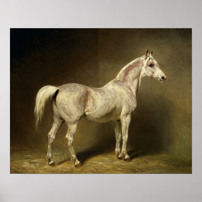 Poster Beatrice" (Frente)