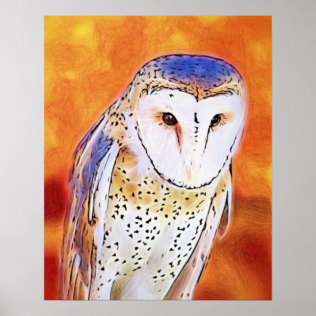 Poster Beautiful Barn Owl Bird With White Face (Frente)