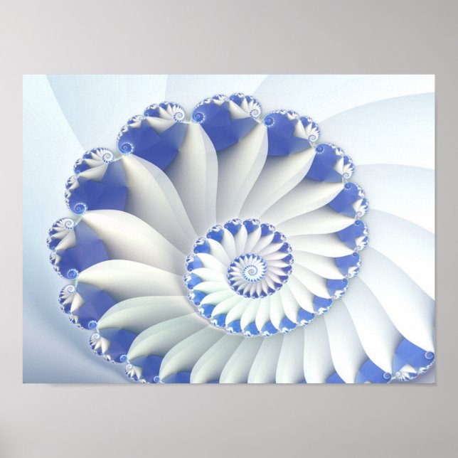 Poster Beautiful Blue & White Sea Shell Fine Fractal Art (Frente)