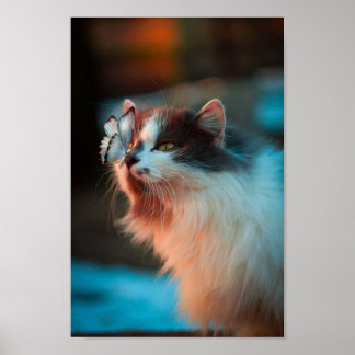 Poster Beautiful Cat With A Butterfly On Their Nose