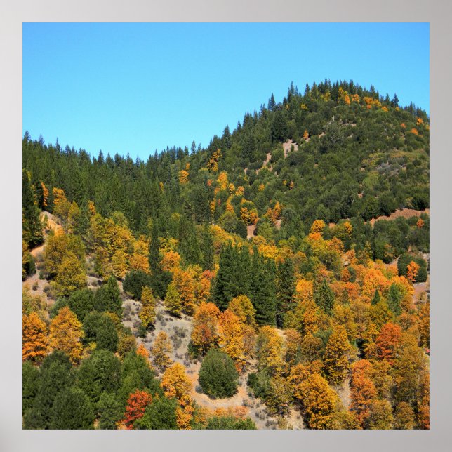 Poster Beautiful Fall day in the mountains...... (Frente)