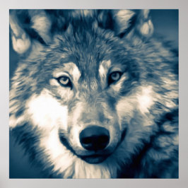 Poster Beautiful Gray Wolf Woodland Animal 