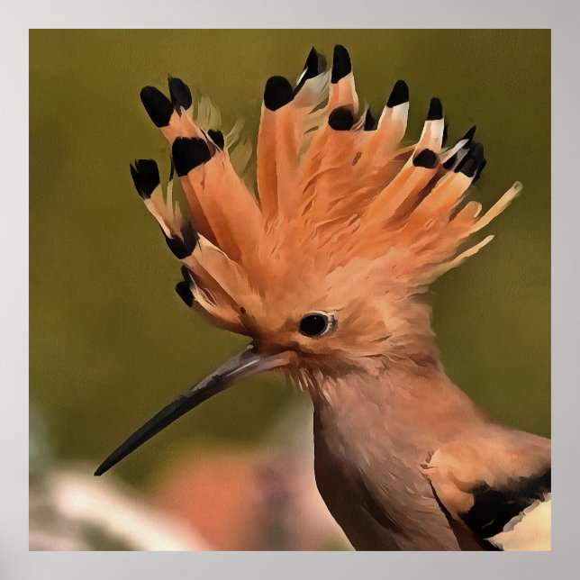 Poster Beautiful Hoopoe Bird With Crown Of Feathers (Frente)