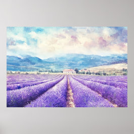Poster Beautiful lavender fields