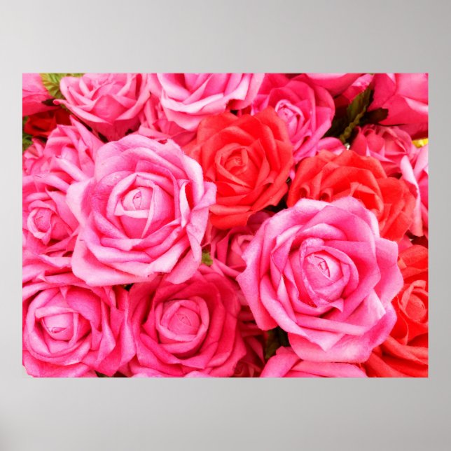 Poster Beautiful red and pink roses (Frente)
