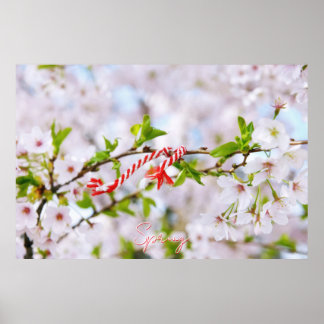 Poster Beautiful spring greeting