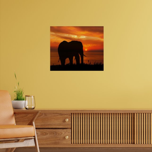 Poster Beautiful Sunset with Silhouette of Elephant (Sala de Estar 2)