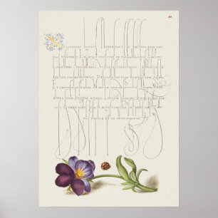 Poster Beautiful Vintage Botanical Illustration