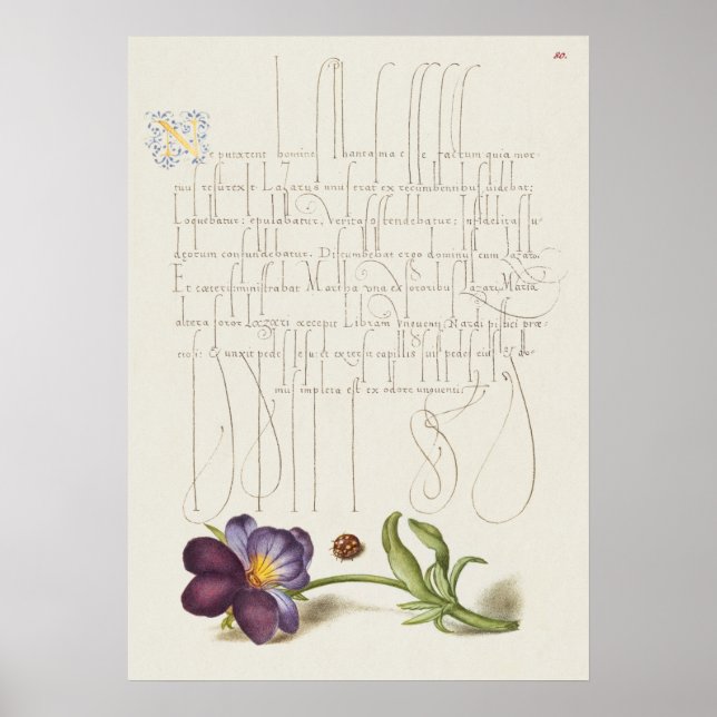 Poster Beautiful Vintage Botanical Illustration (Frente)
