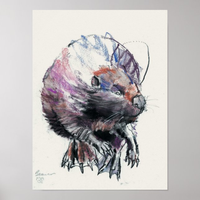 Poster Beaver 2001 (Frente)