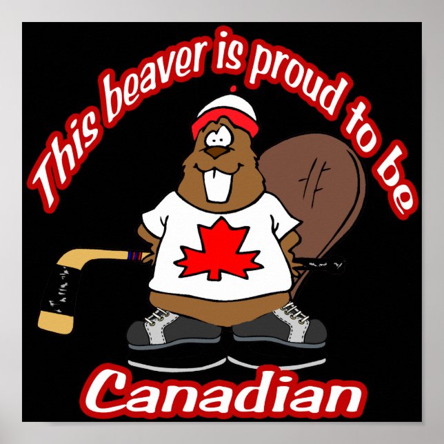 Poster Beaver canadense (Frente)