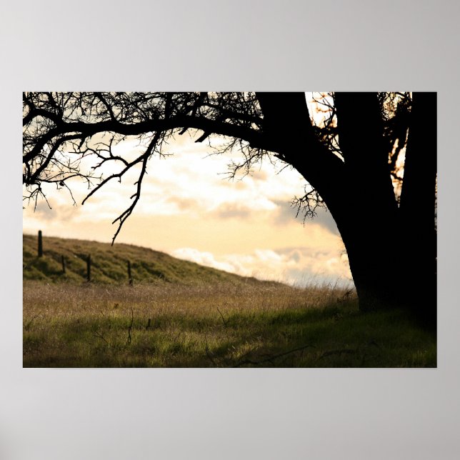 Poster "Bêbado da Fronteira" (Frente)