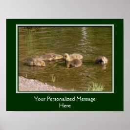 Poster Bebê Canadá Goslings Crie o seu