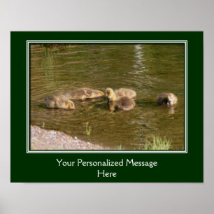 Poster Bebê Canadá Goslings Crie o seu