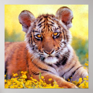 Pôster Bebê Cub do tigre