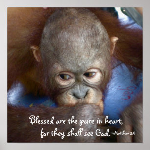 Poster Bebê dos animais selvagens: Blessed é a pura no