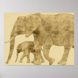 Poster Bebê Elefante com a Mãe