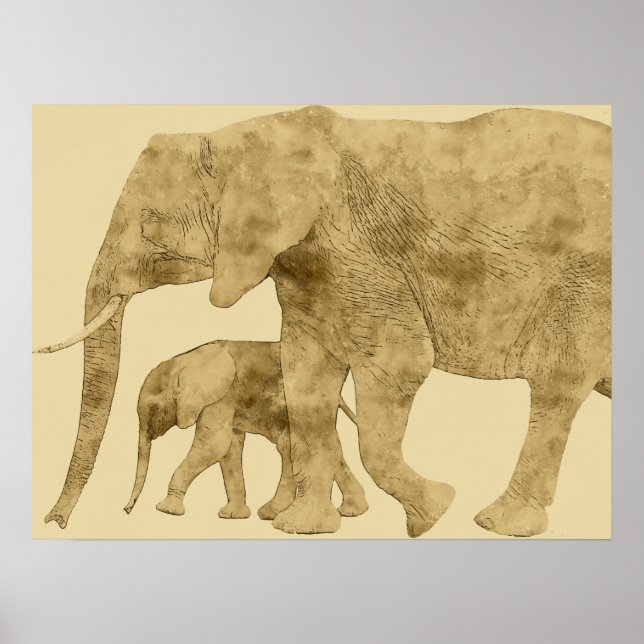 Poster Bebê Elefante com a Mãe (Frente)