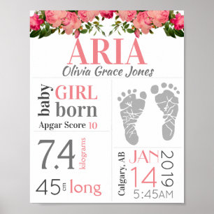 Poster Bebê Garota Nascida Sinal Rosa Pegada Floral Rosa