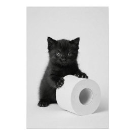 Pôster Bebê Gatinho Preto Guardando Rolo de Papel Higiêni