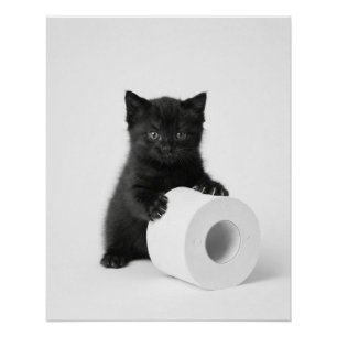 Pôster Bebê Gatinho Preto Guardando Rolo de Papel Higiêni