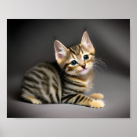 Bebê gato-do-mato-bonito