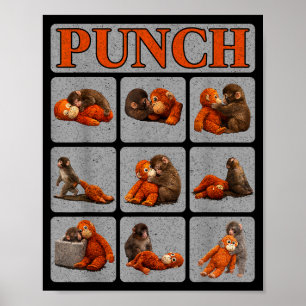 Poster Bebê macaco fofo chamado camisa de punch macaco Pu