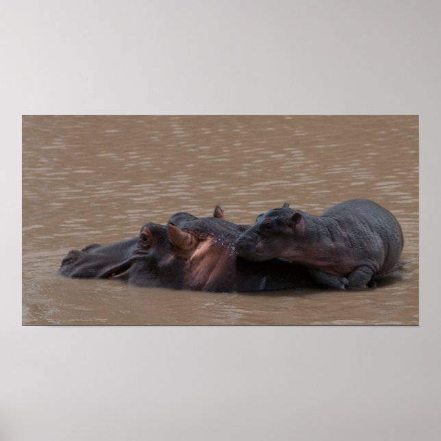 Poster Bebê no Conselho (Frente)