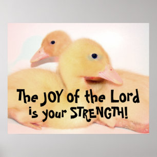 Poster Bebê Pecado Pato Pato Pata Pássaro Pet Animal