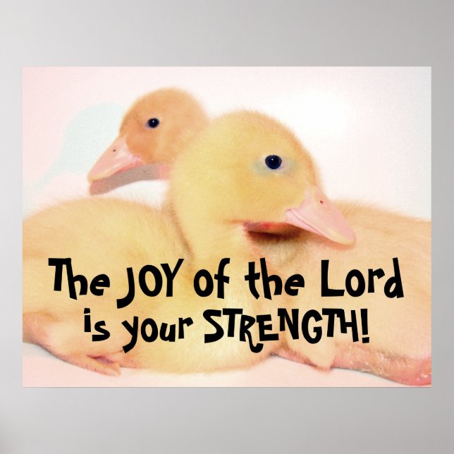 Poster Bebê Pecado Pato Pato Pata Pássaro Pet Animal (Frente)