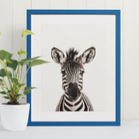 Bebê Safari African Jungle Animal Zebra