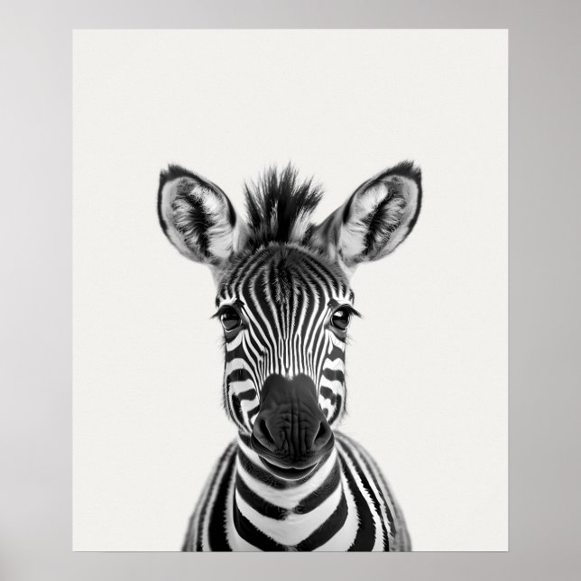 Poster Bebê Safari African Jungle Animal Zebra (Frente)