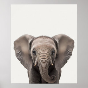 Poster Bebê Safari Animais da Selva Africana Elefante