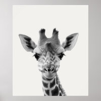 Bebê Safari Animais da Selva Africana Girafa