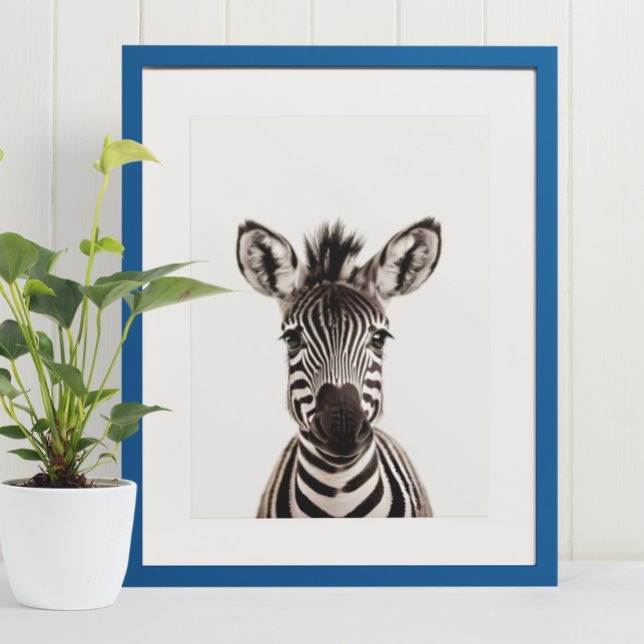 Poster Bebê Safari Animais da Selva Africana Zebra (Criador carregado)