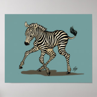 Pôster Bebê zebra sobre fundo azul