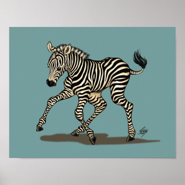 Pôster Bebê zebra sobre fundo azul (Frente)