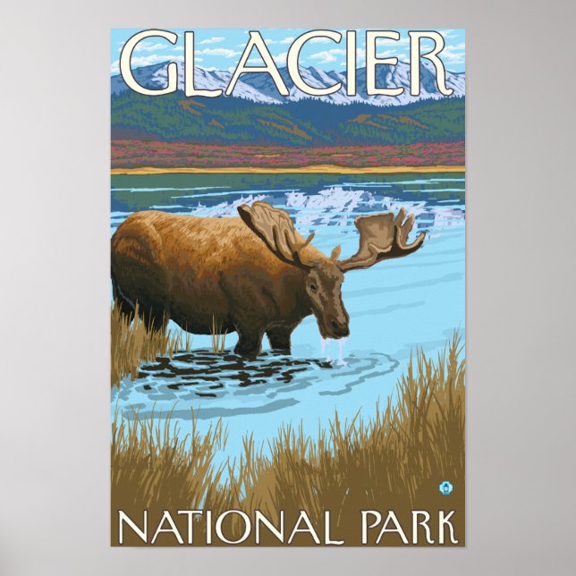 Poster Bebendo de alce no lago - Parque Nacional de Glaci (Frente)
