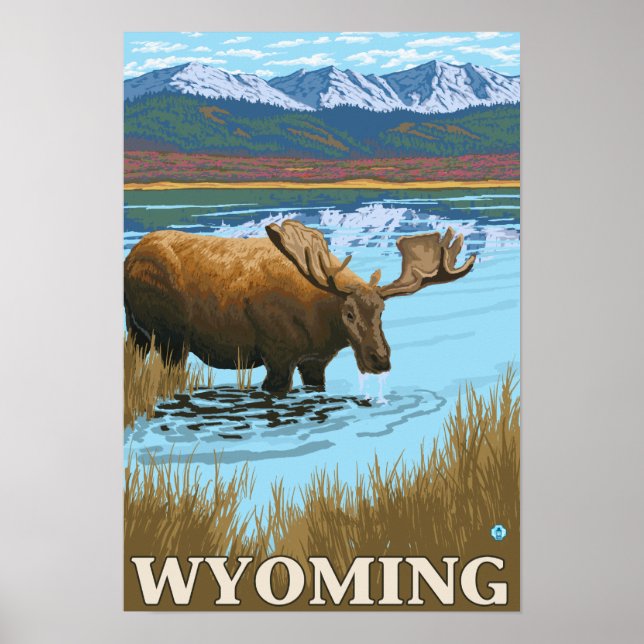 Poster Bebendo de alce no lago - Wyoming (Frente)