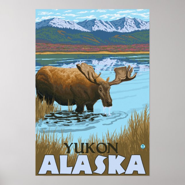 Poster Bebendo de alce no lago - Yukon, Alaska (Frente)