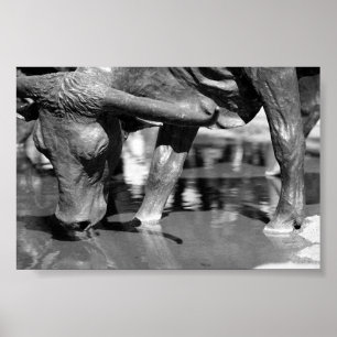 Poster Bebendo Longhorn