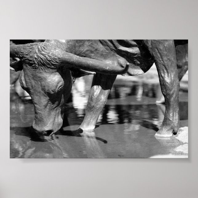 Poster Bebendo Longhorn (Frente)