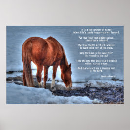 Pôster Bebendo Red Dun Ranch Horse & Equine Poem