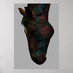 Poster Beber Equino Gracioso: Desenho Colorido de Cabeça