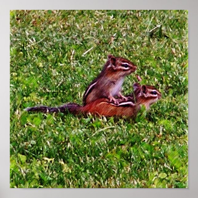 Poster Bebês Espetáculos Primeiro Dia #5 Animal (Frente)